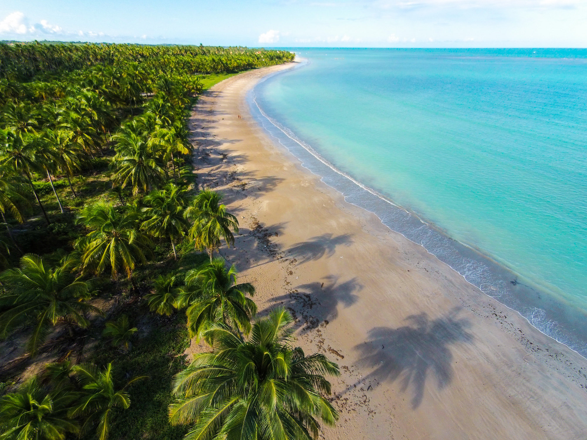 Vista aérea da Praia de Ipioca, Maceió